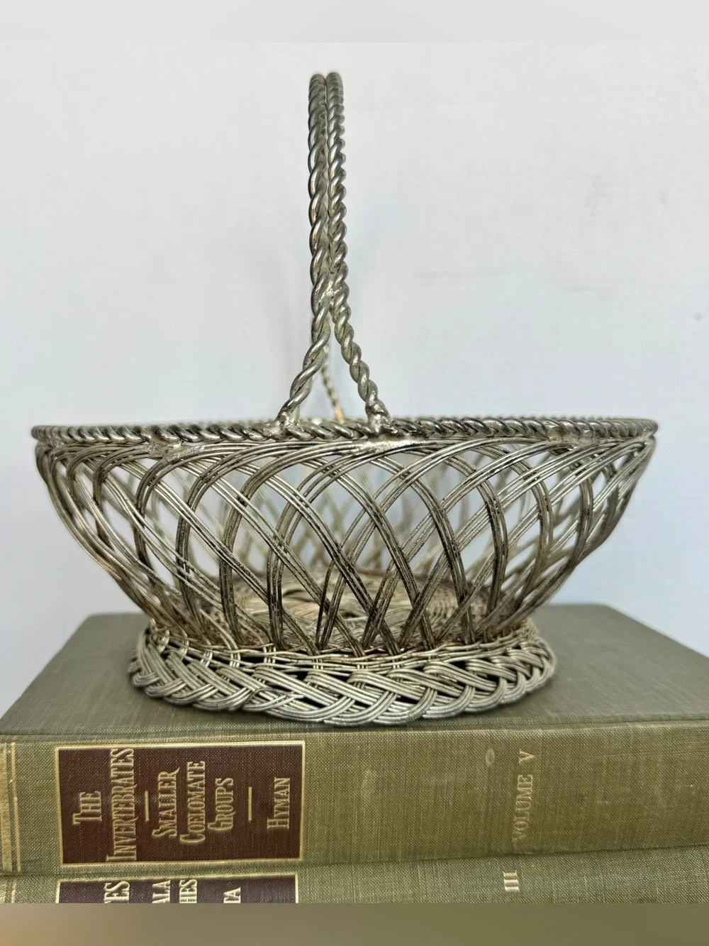 Vintage Silver Woven Wire Basket with Handle Decorative Home Accent